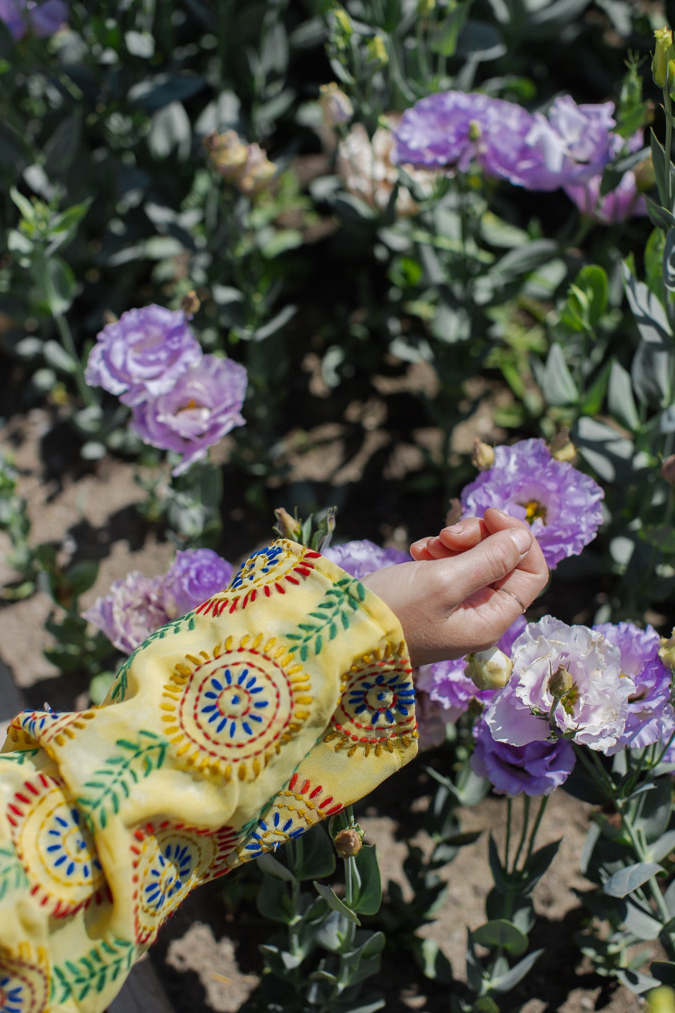 The Saffron Bloom Jacket  - H